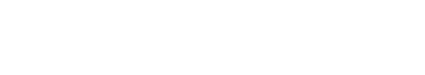 Zoneli